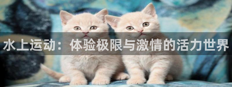 成都意昂电子有限公司